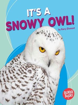 cover image of It's a Snowy Owl!